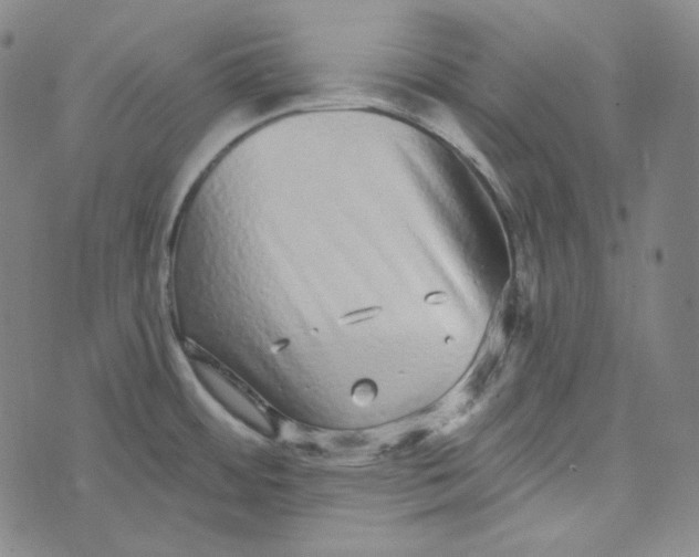 X0000076321484200610161631