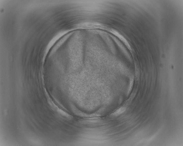 X0000076321486200610161631