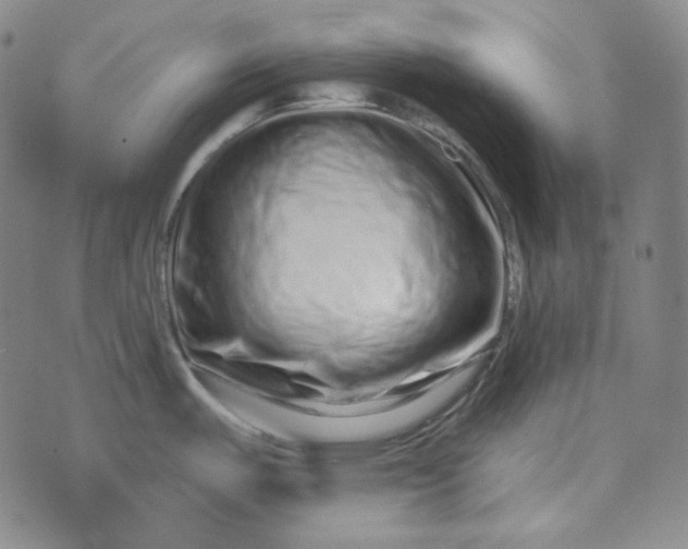 X0000076321487200610161631