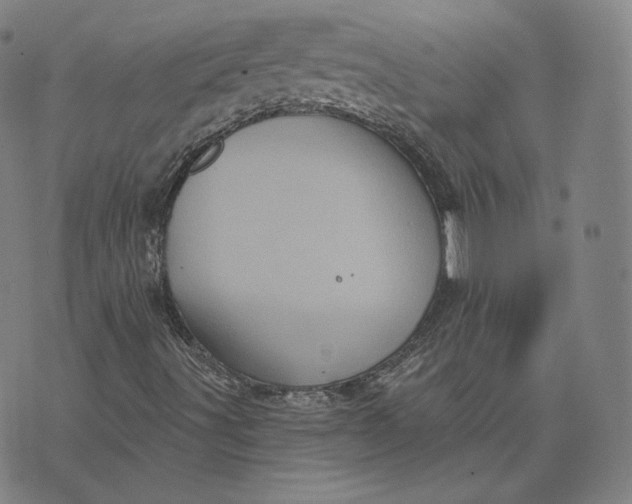 X0000076321491200610161630