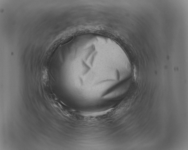 X0000076321492200610161630