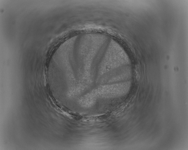 X0000076321493200610161630