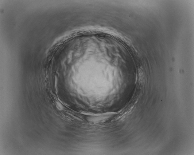 X0000076321494200610161630