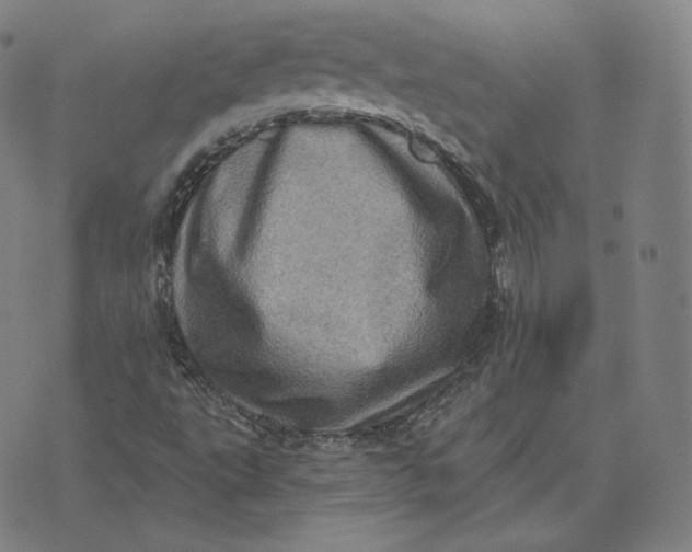 X0000076321495200610161630