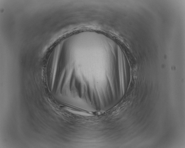 X0000076321496200610161630