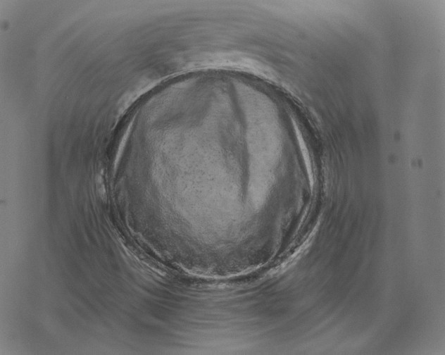 X0000076321497200610161630