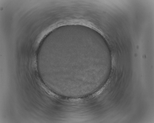 X0000076321498200610161630