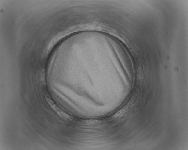 X0000076321499200610161630