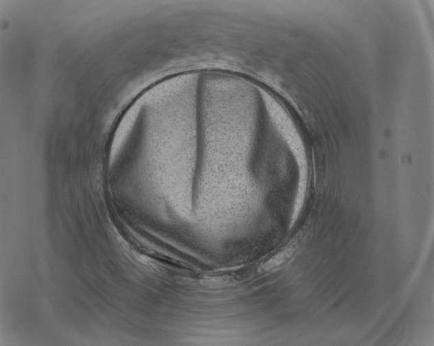 X0000076321500200610161630