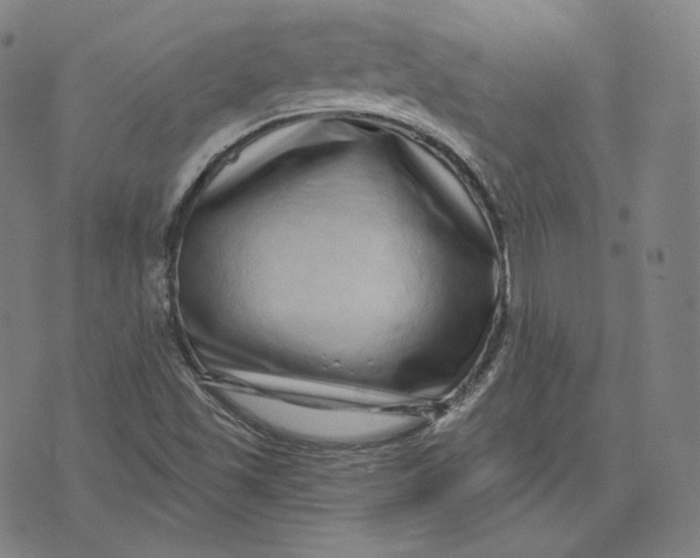 X0000076321501200610161630