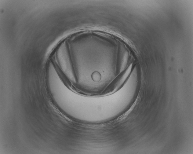 X0000076321502200610161630