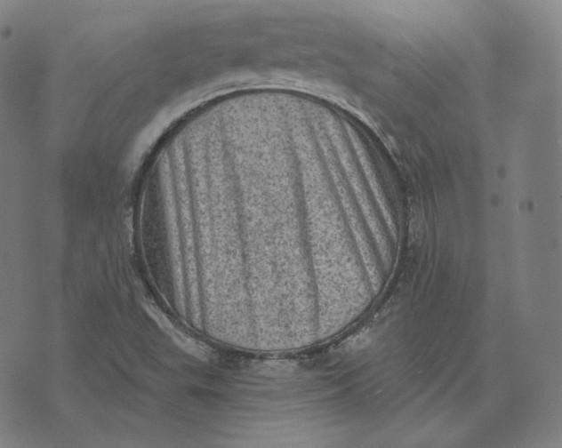 X0000076321503200610161631