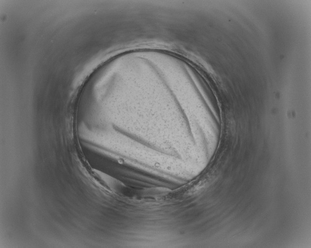 X0000076321504200610161631