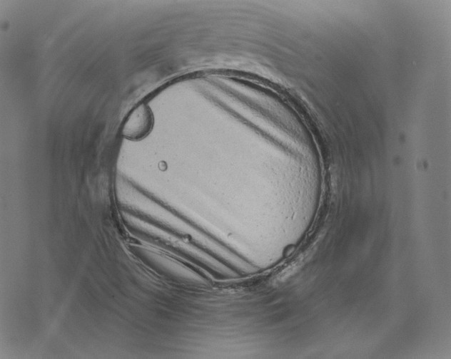 X0000076321505200610161631