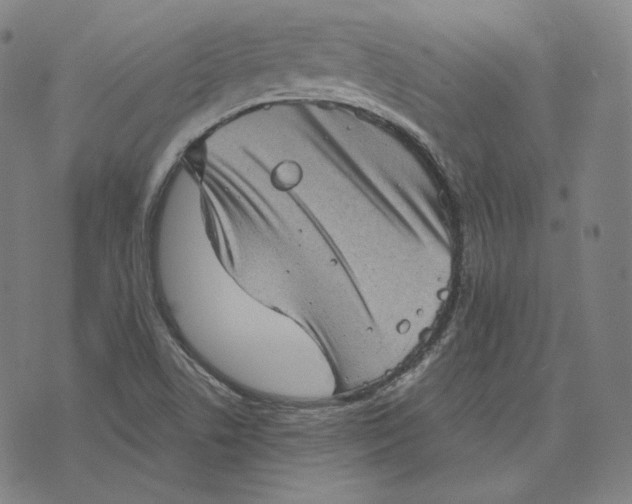 X0000076321506200610161631