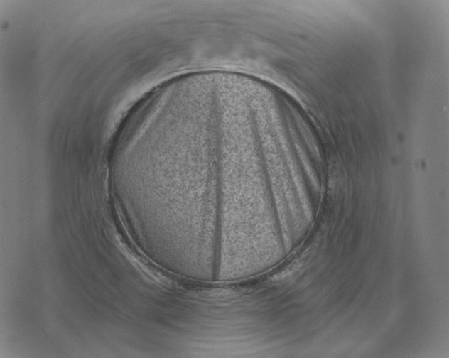 X0000076321507200610161631