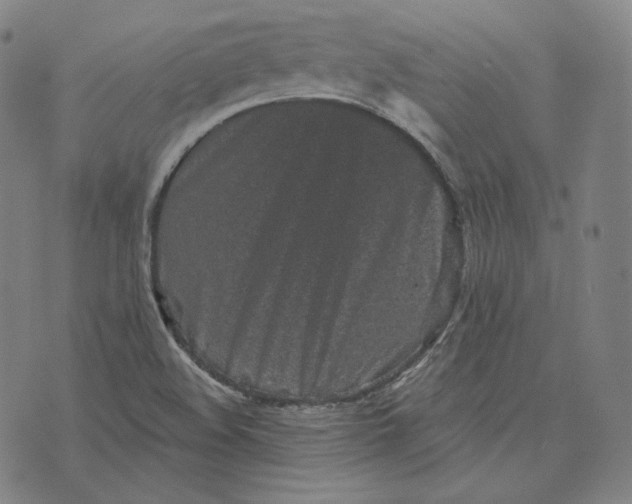 X0000076321508200610161631