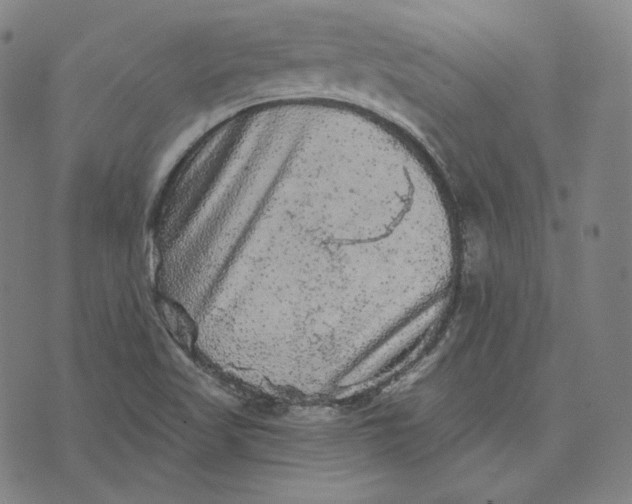 X0000076321509200610161631