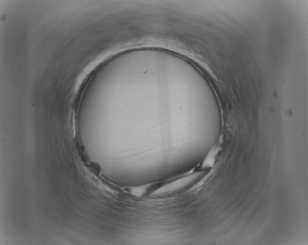 X0000076321510200610161631