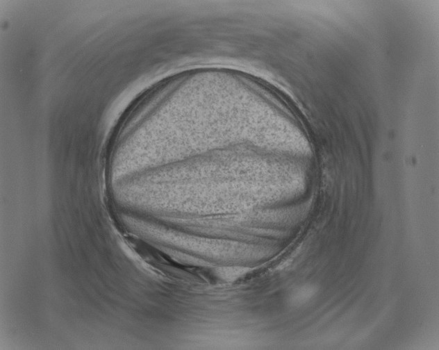 X0000076321511200610161631