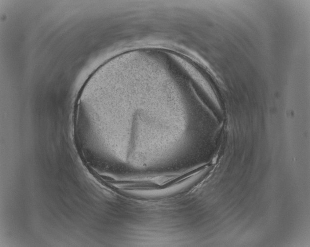 X0000076321512200610161631