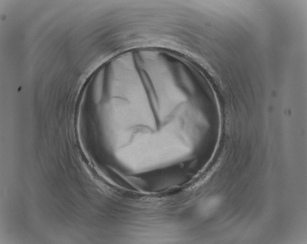 X0000076321513200610161631