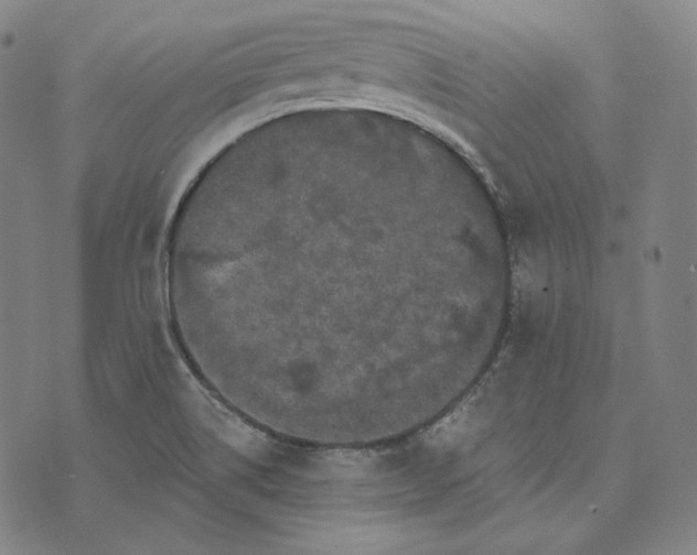 X0000076321514200610161631