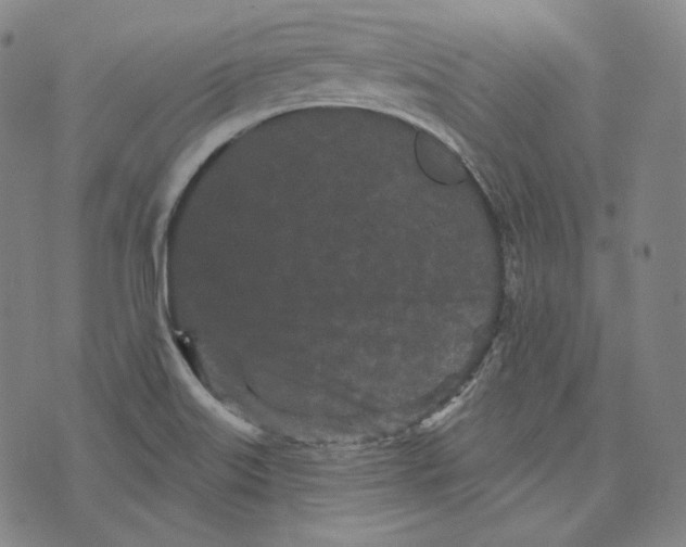 X0000076321515200610161631