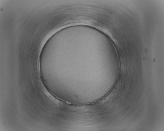 X0000076321516200610161631