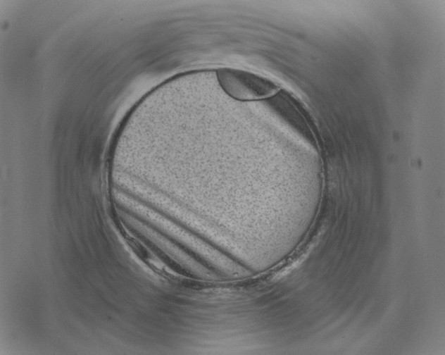 X0000076321517200610161631