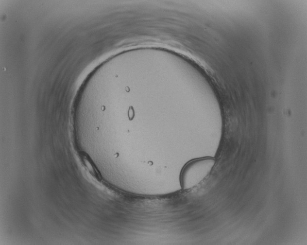 X0000076321518200610161631