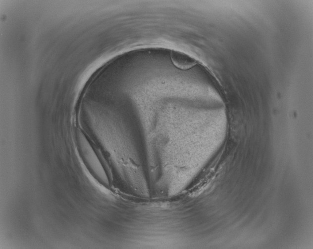 X0000076321519200610161631