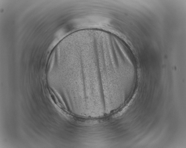 X0000076321521200610161631