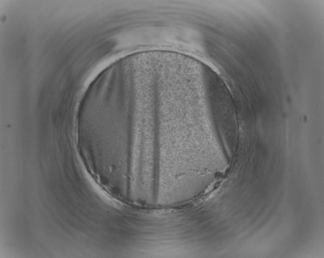 X0000076321523200610161631