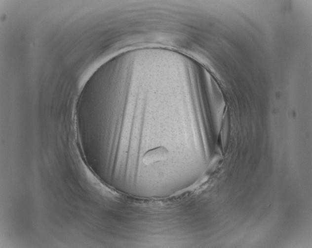 X0000076321524200610161631