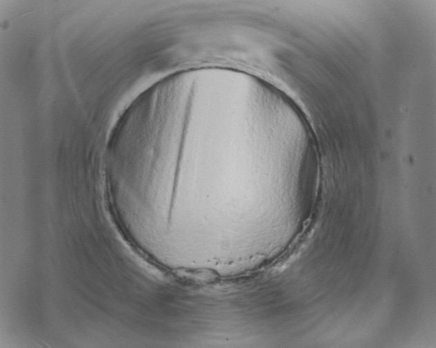 X0000076321525200610161631