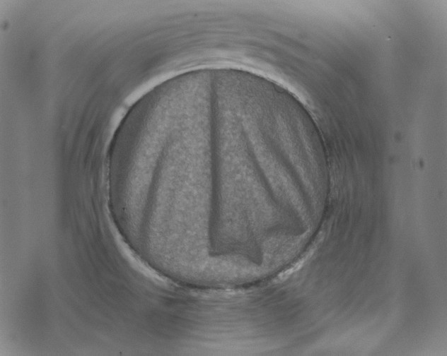 X0000076321526200610161631