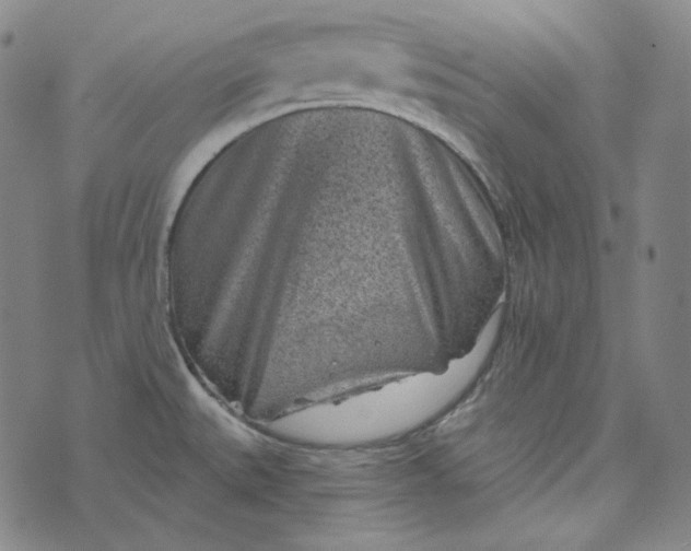 X0000076321527200610161631