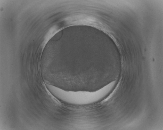 X0000076321529200610161631