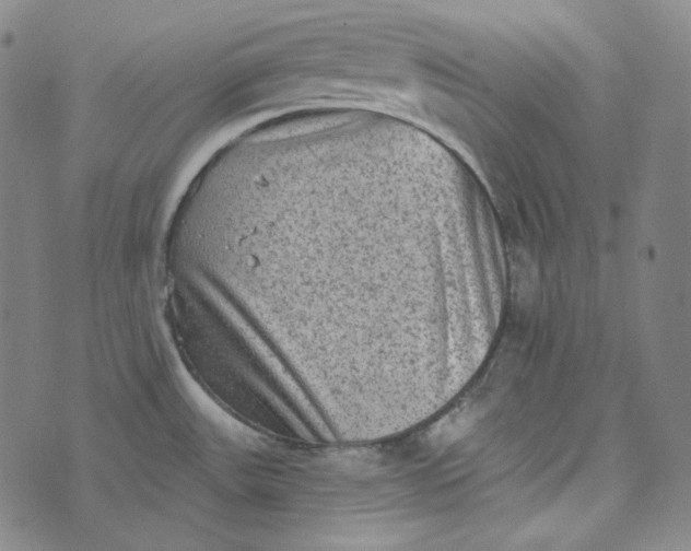 X0000076321531200610161631