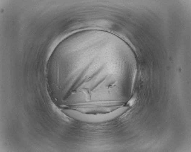 X0000076321532200610161631