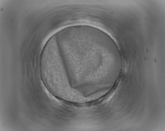 X0000076321534200610161631