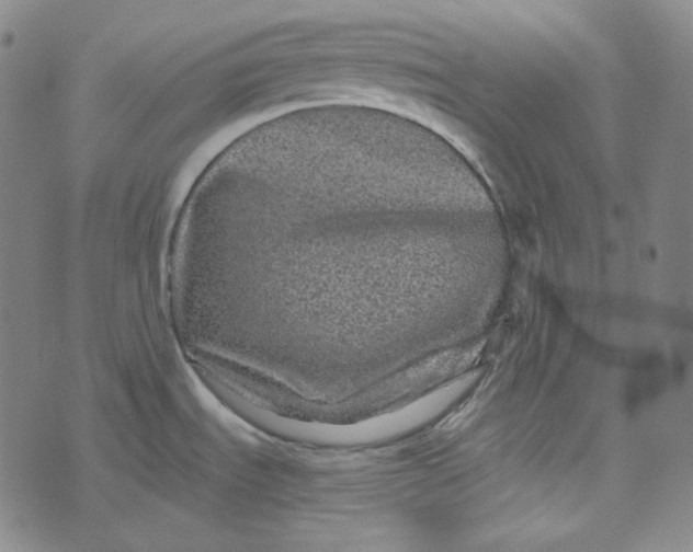 X0000076321535200610161631