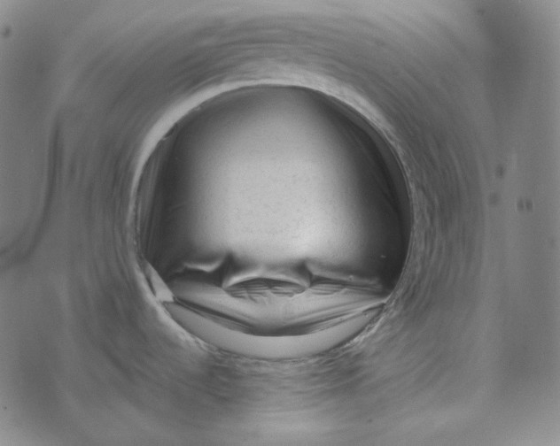 X0000076321536200610161631