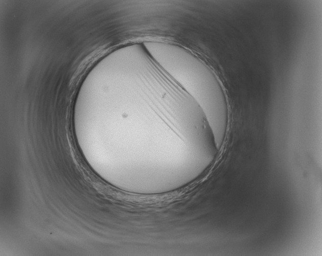 X0000076320001200610201651