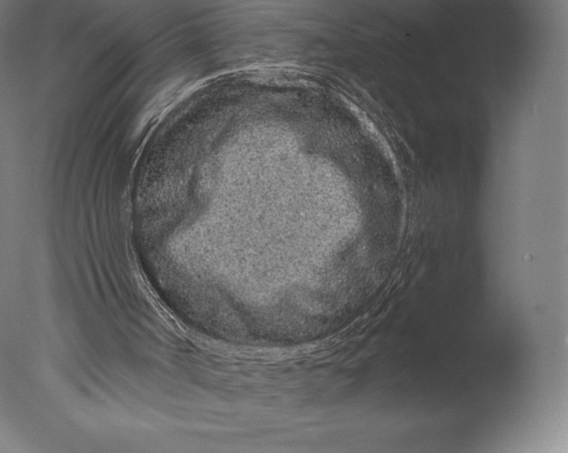 X0000076320002200610201651