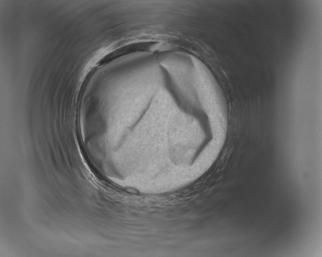 X0000076320003200610201651