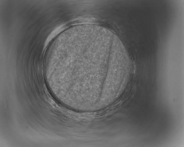 X0000076320004200610201651