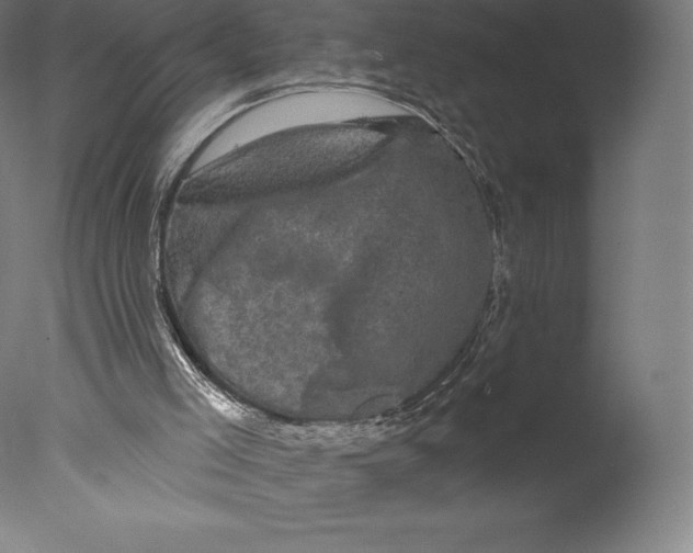 X0000076320005200610201651