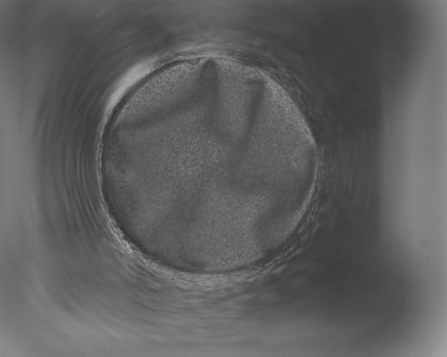 X0000076320006200610201651